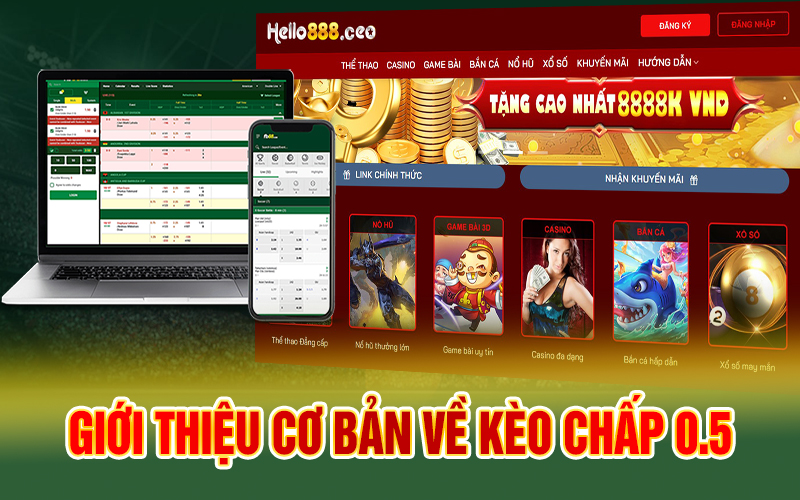 Giới thiệu cơ bản về kèo chấp 0.5