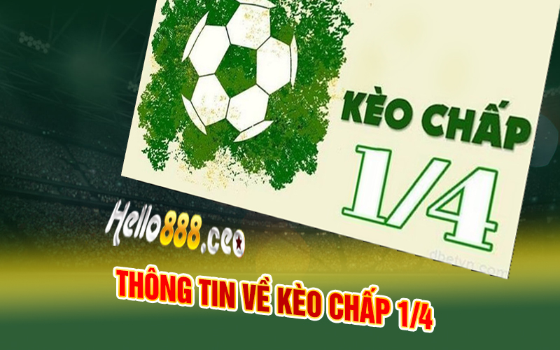 Thông tin về Kèo chấp 1/4 