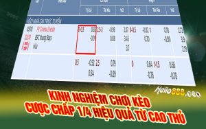 Kinh nghiệm kèo cược chấp 1/4 hiệu quả từ cao thủ